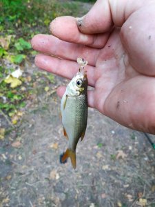 IMG_20190819_110254.jpg