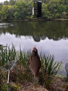 IMG_20190819_110228.jpg