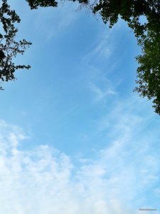 IMG_20190819_110037.jpg