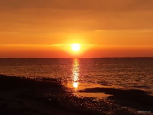 IMG_20190820_151928.jpg