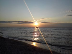 20190819_060449.jpg