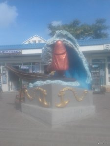 20190818_092956.jpg