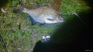 IMG_20190823_014820.jpg
