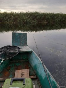 20190815_183005.jpg