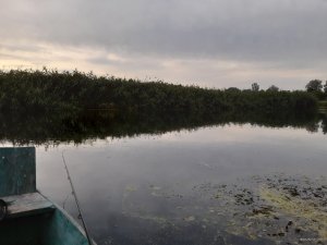 20190815_183053.jpg