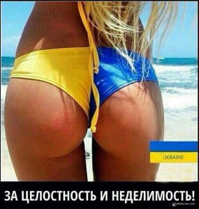 IMG-23a4d77efce8ead6a75e50f858ce211f-V.jpg