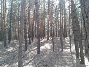 20190824_145210.jpg