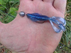 20190824_113851.jpg