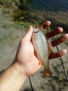 IMG_20190826_104429.jpg