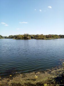 IMG_20190826_120335.jpg