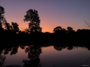 6ED7B04D-C561-4316-B65B-9DF231ECF945.jpeg