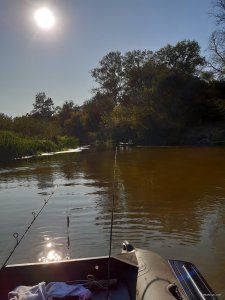 20190825_164201.jpg
