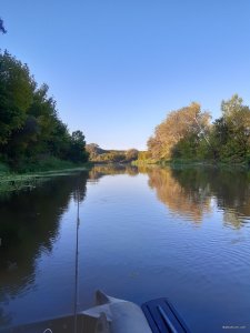 20190825_070024.jpg