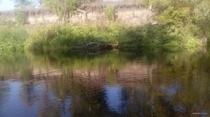 IMG_20190826_080510.jpg