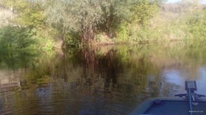 IMG_20190826_080505.jpg