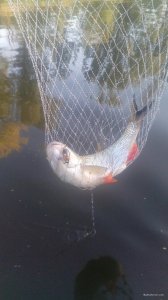 IMG_20190826_063738.jpg