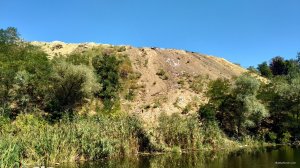 IMG_20190826_125019.jpg