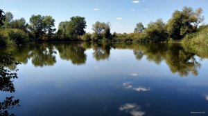 IMG_20190826_130540.jpg