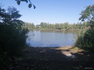 IMG_7799.JPG