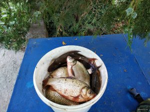 IMG_20190901_125733.jpg