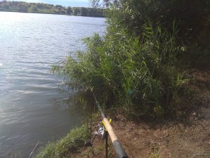IMG_20190713_172419.jpg