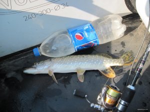 IMG_0902.JPG