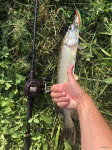 2EF833DD-FAF2-40AC-A6A4-7AABA25043E7.jpeg