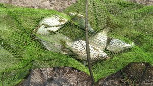 IMG_20190905_141526.jpg