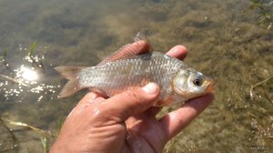 IMG_20190906_133208.jpg