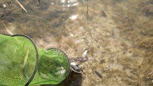 IMG_20190906_133527.jpg