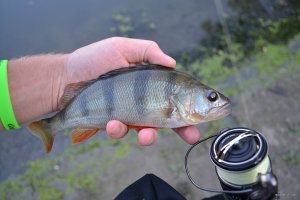 DSC_0215.JPG