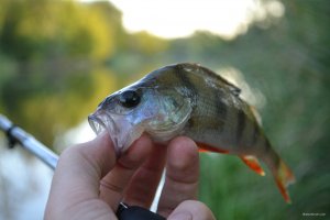 DSC_0181.JPG
