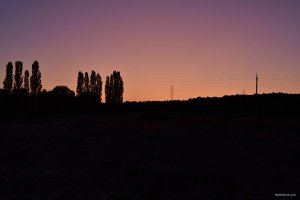 DSC_0228.JPG