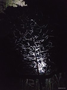 IMG-692ab5d65670eb2b37ba00ee016b1ac8-V.jpg