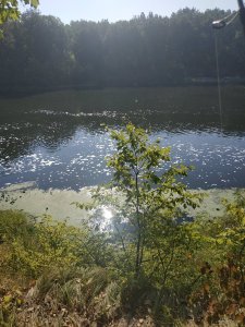 IMG_20190908_095238.jpg