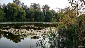 IMG_20190908_181844.jpg