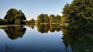 IMG_20190908_164421.jpg