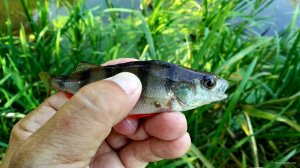IMG_20190908_152109.jpg