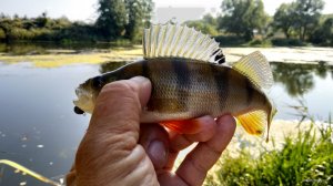 IMG_20190908_145958.jpg