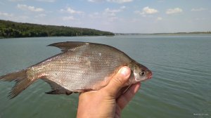 IMG_20190909_142342.jpg
