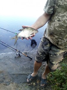IMG_20190908_101536.jpg
