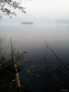 IMG_20190908_055127.jpg