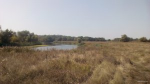 IMG_20190908_105931.jpg