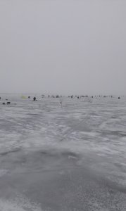 IMAG0380.jpg