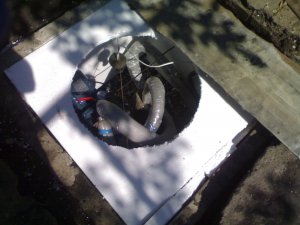 06072011056.jpg