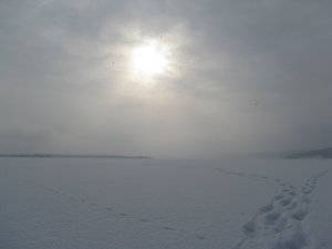 IMG_8416.JPG