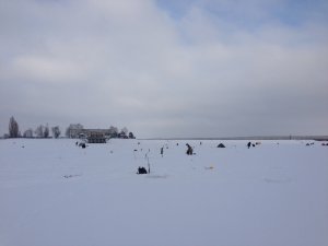 IMG_3484.JPG