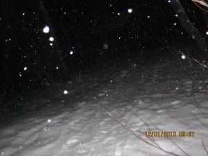 27 006.jpg