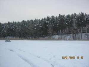 27 010.jpg