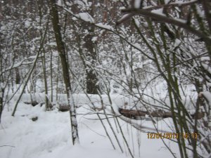 27 022.jpg